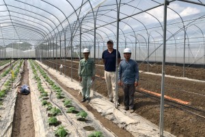 Thai Son Breeding Service Cooperative - Safe Vegetable, Tuber and Fruit Production Area